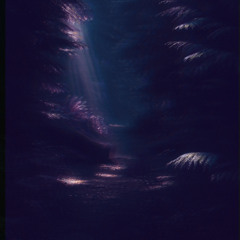 ▲ F T E R  D ▲ R K