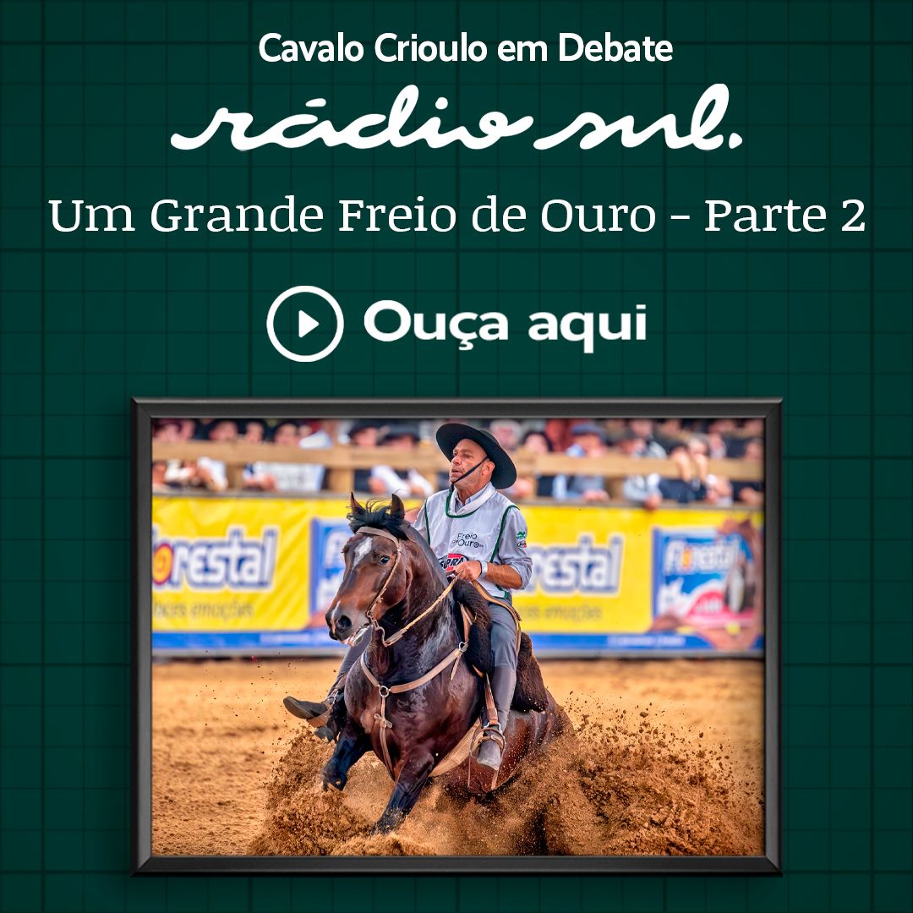 Radiosul.net
