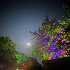 Maria & Joseph at Nachteulen Festival 2025