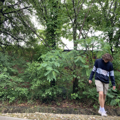 Hurting/Detached (prod. Me)