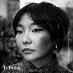 11-Polar | NEGD Community Radio Show