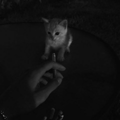 Aunque estes con el ft little spooky