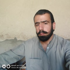 Nosheen Qambrani .
