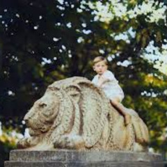 With the Wild Ones (STBB 976)