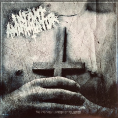 Decapitation Fornication Cover By Justin Ray