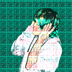 SHAKE SHAKE SHAKE