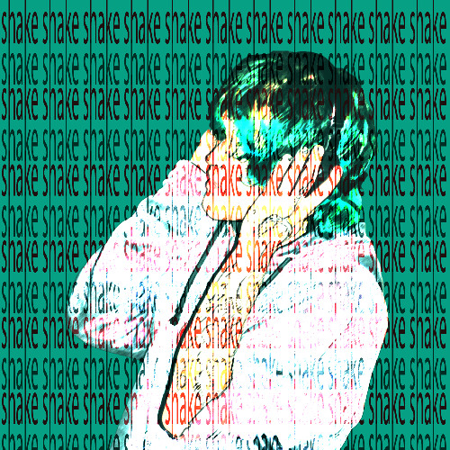 SHAKE SHAKE SHAKE