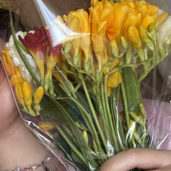 big thief - real love (cover)