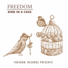 Freedom - Bird In A Cage