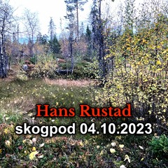 Skogpod 4. oktober 2023