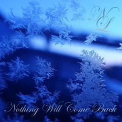 Nothing Will Come Back