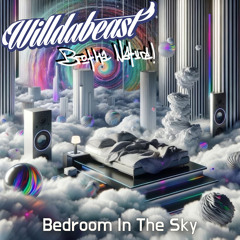 Bedroom In The Sky (feat. Brotha Nature)