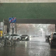 Holiday Freestyle - Pashanim  /   Holyday Freestyle