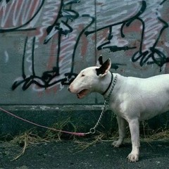 blane gang (prod. donnie katana)