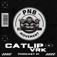 PNB Podcast #1 CATLIP VRK - Electro set