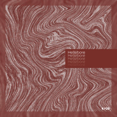 PREMIERE: Esgo - Hellébore