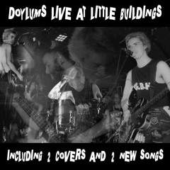 15 Police Truck (Dead Kennedys cover)- Live at Little Buildings