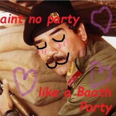 Aint No Party Like A Baath Party