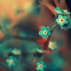 comme des beau cul (fleet edit)