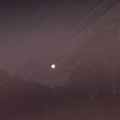 blame the moon