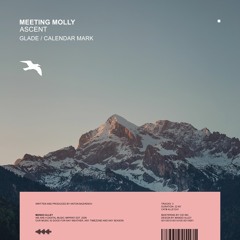 MEETING MOLLY Glade