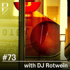 Past Foward #73 w/ DJ Rotwein