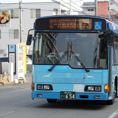 WRIGGLED HOTAKUBO-IRIGUCHI