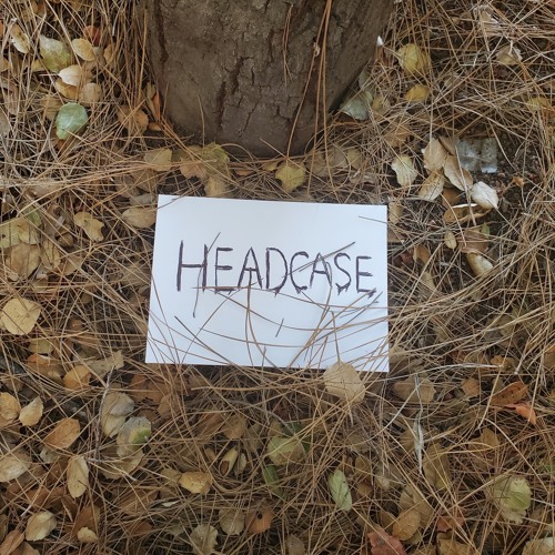 HEADCASE