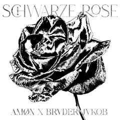 AMØN x brvder jakob - Schwarze Rose
