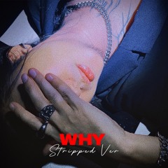 WHY(Stripped)