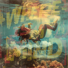 Where is my mind  ( cover reggae version )