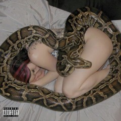 slime roc prod 06brick