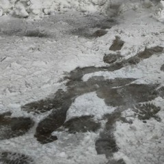 Sunhitwater Moonbeam