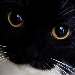 The - Gardener’s - Pool