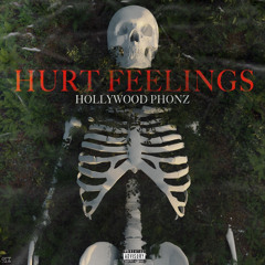 HollyWood Phonz - Hurt Feelings