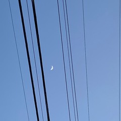 To The Moon