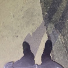 Kandahar