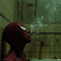 I did it. Comic Spider-Man x blue void (slowed+reverb)-You're going to die in that stupid costum