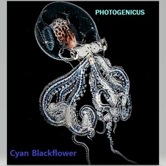 Photogenicus