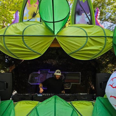 Black Rabbit 2025 set