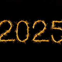 Best Of 2025 YEAR MIX - House Edition - Oliver Heldens, Mau P, Meduza, Mathame, Purple Disco Machine, Sebastian Ingrosso, Jengi, John Summit and more..