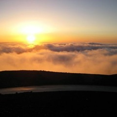 Come And Get It $$                   Buggy Beatz $$