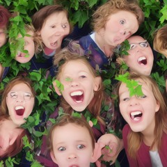 Das Island - Wat Is Er Aan De Hand