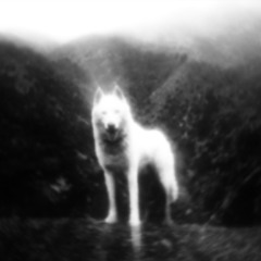 O Чем Ты Думаешь (What Are You Thinking)- Never Get Used To People [Slowed]