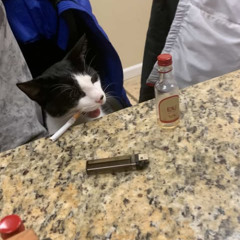 Dupizz - Unemployment flo (chris finesse exclusives)