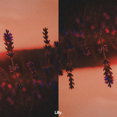 Lavender