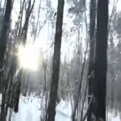тревога + elisalam (prod. firegun)