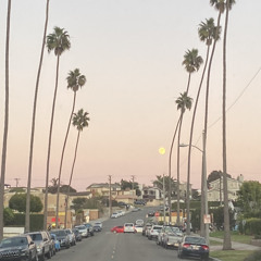 LUV CYCLE 2 (prod. Lil Biscuit)