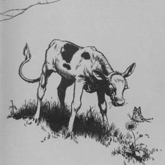 ME - 3 T2 (the Contrerian)