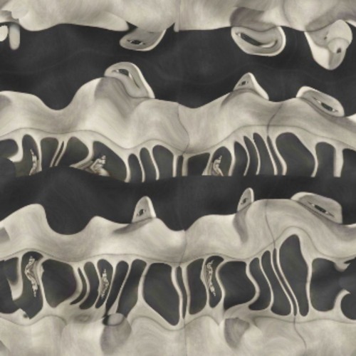 Momentary flashes of form